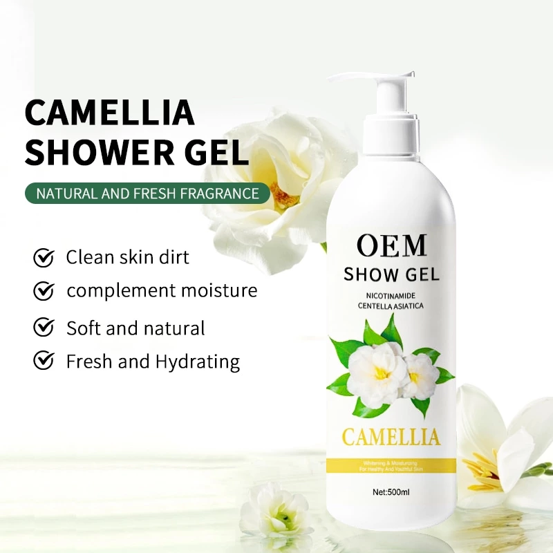 Product Features Diagram