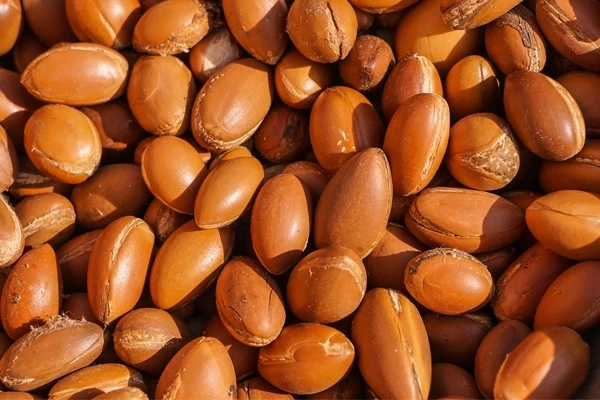 Moroccan argan oil shampoo