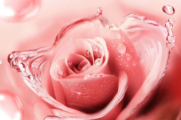 Petal Moisturizing Shower Gel