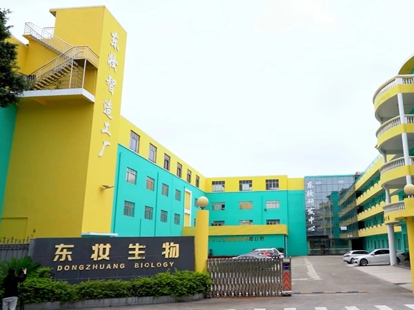 Company Introduction